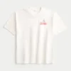 Boxy Heavyweight Dodge Charger Daytona Graphic Tee