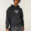 Boxy Lake Tahoe Snowboard Hoodie mit Grafik Boxy Lake Tahoe Snowboard Hoodie mit Grafik