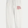 Die Ohio State University Buckeyes Graphic Baggy Cinch Fleece Jogginghose
