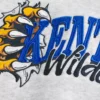 Kastiger Hoodie mit Grafik der University of Kentucky Wildcats Kastiger Hoodie mit Grafik der University of Kentucky Wildcats