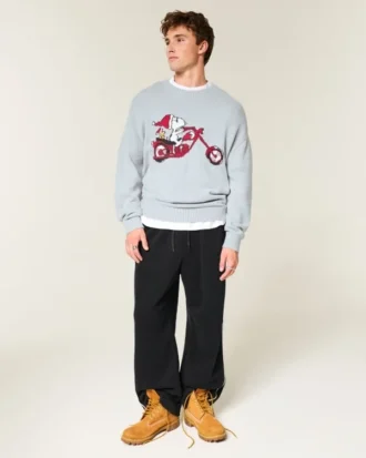 Kastiger Snoopy-Grafik-Pullover